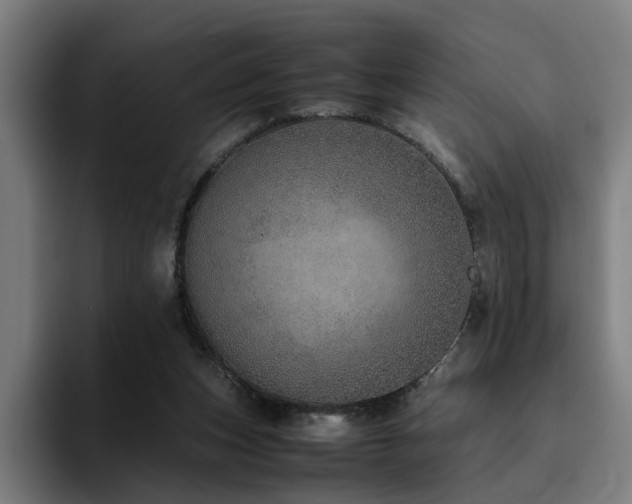 X0000094820159200711161535