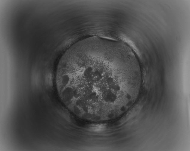X0000094820161200711161535