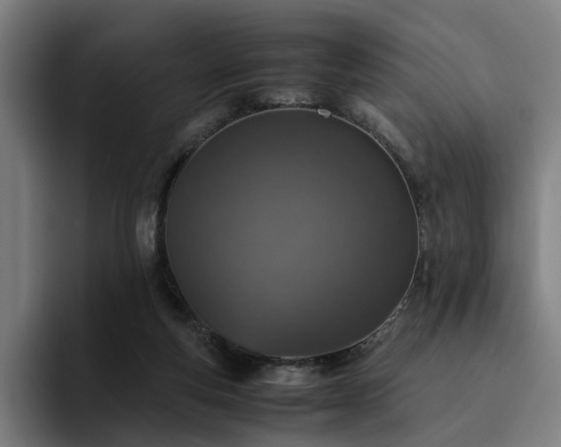 X0000094820163200711161535