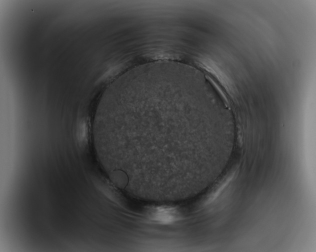 X0000094820165200711161535