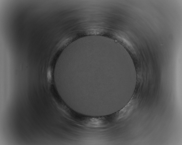 X0000094820166200711161535