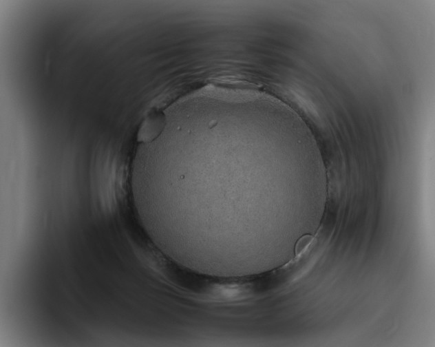 X0000094820171200711161535