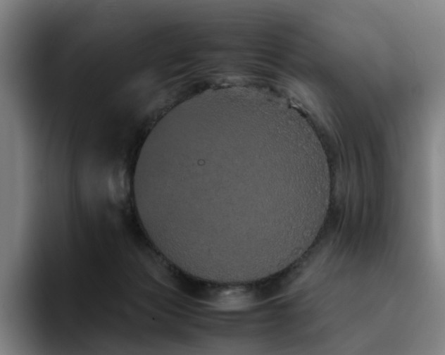 X0000094820173200711161535