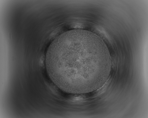 X0000094820175200711161535