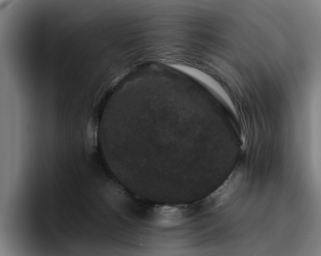 X0000094820180200711161535