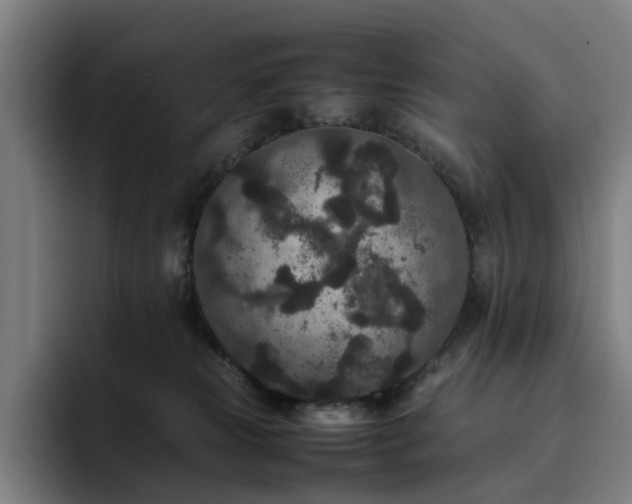 X0000094820181200711161535