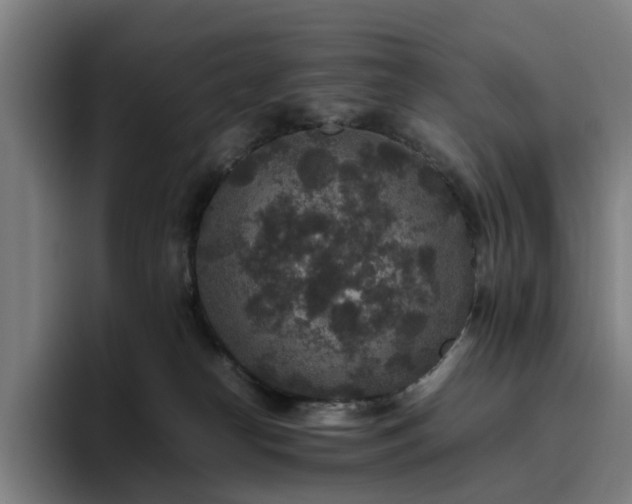 X0000094820182200711161535