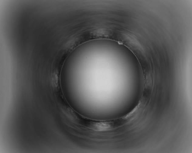 X0000094820183200711161535