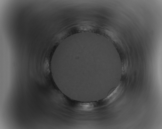 X0000094820187200711161535