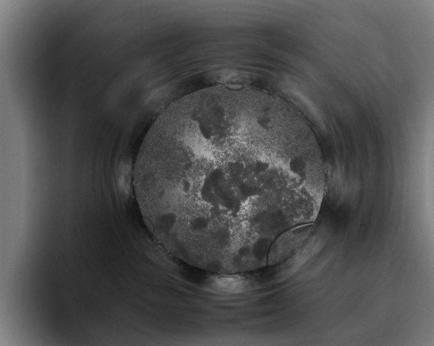 X0000094820189200711161535