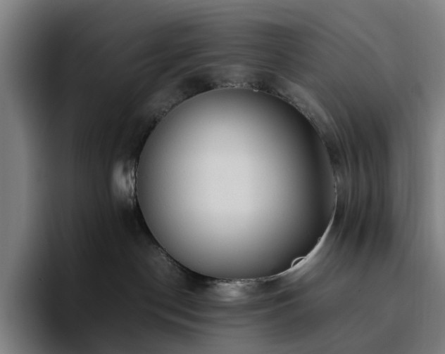 X0000094820190200711161535