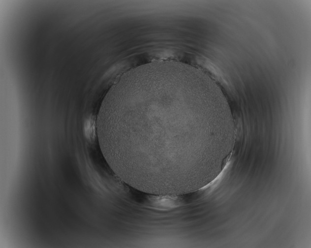 X0000094820191200711161535