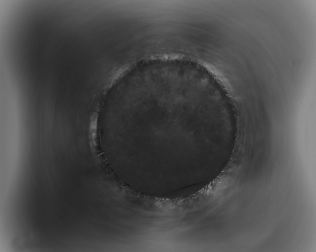 X0000094820192200711161535