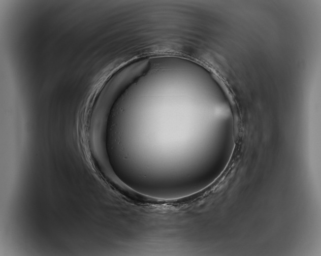 X0000094820193200711161534