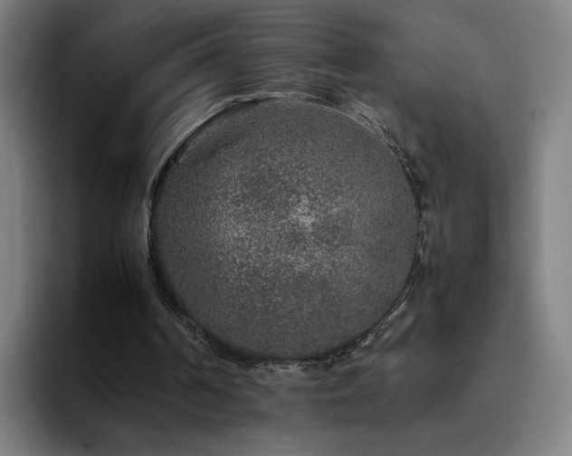 X0000094820194200711161534