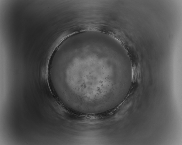 X0000094820195200711161534