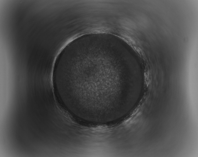 X0000094820196200711161534