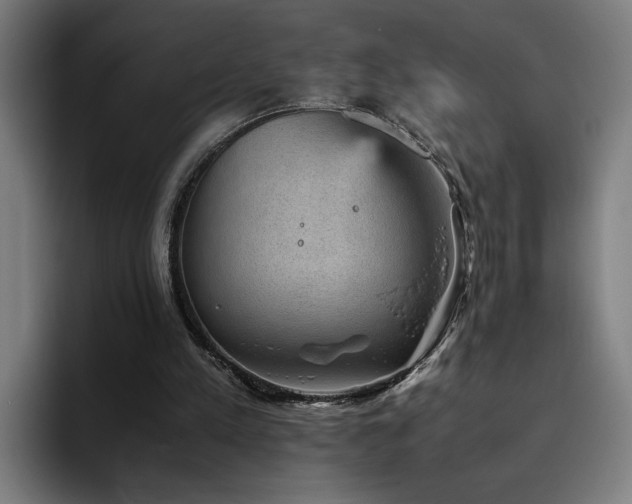 X0000094820197200711161534