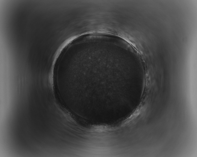 X0000094820200200711161534