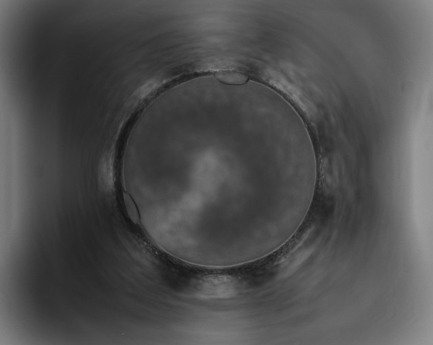 X0000094820203200711161534