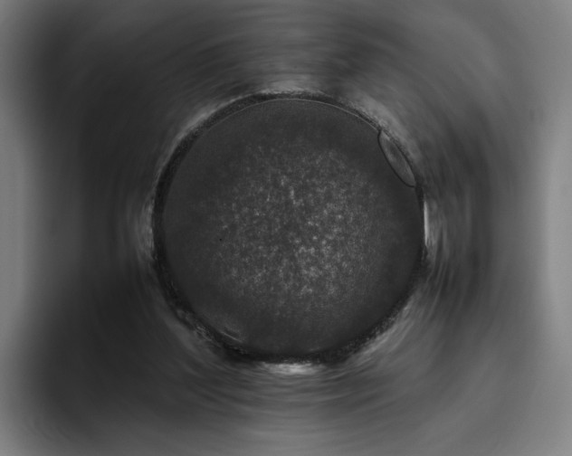 X0000094820204200711161534