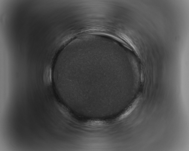 X0000094820205200711161534