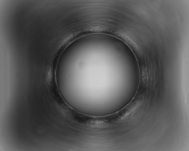 X0000094820208200711161534