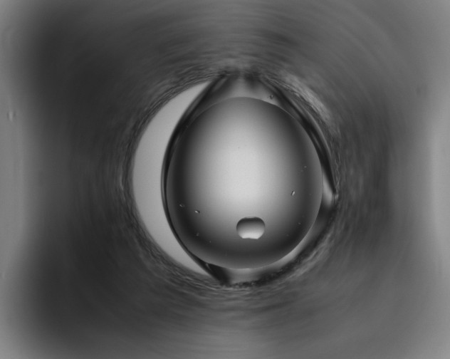X0000094820209200711161534
