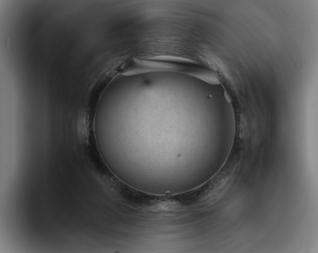 X0000094820210200711161534