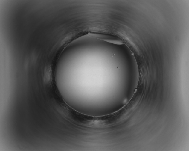 X0000094820212200711161534
