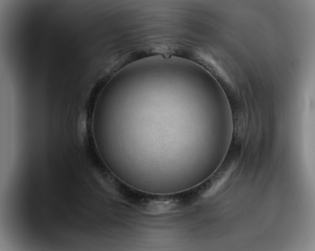 X0000094820213200711161534