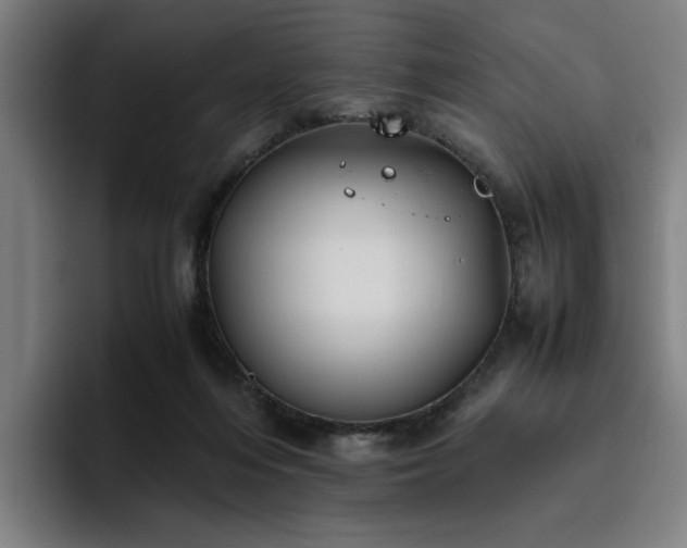 X0000094820216200711161534