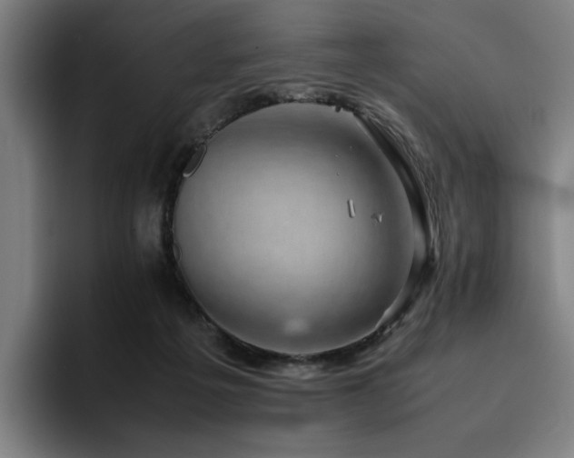 X0000094820217200711161534