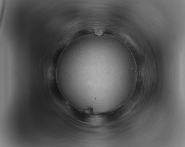 X0000094820218200711161534