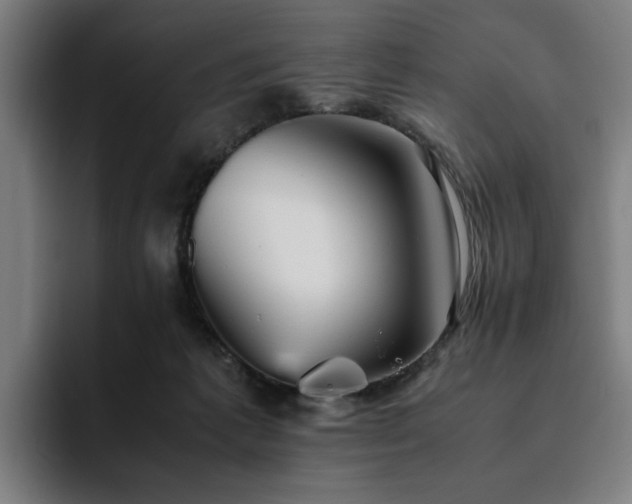 X0000094820221200711161534