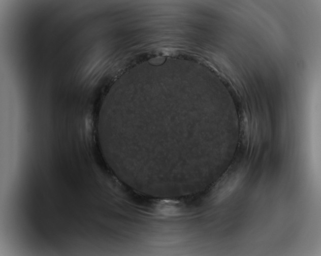 X0000094820222200711161534