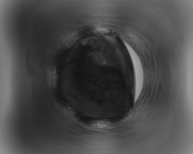 X0000094820223200711161534
