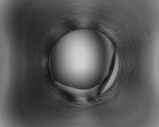 X0000094820225200711161534