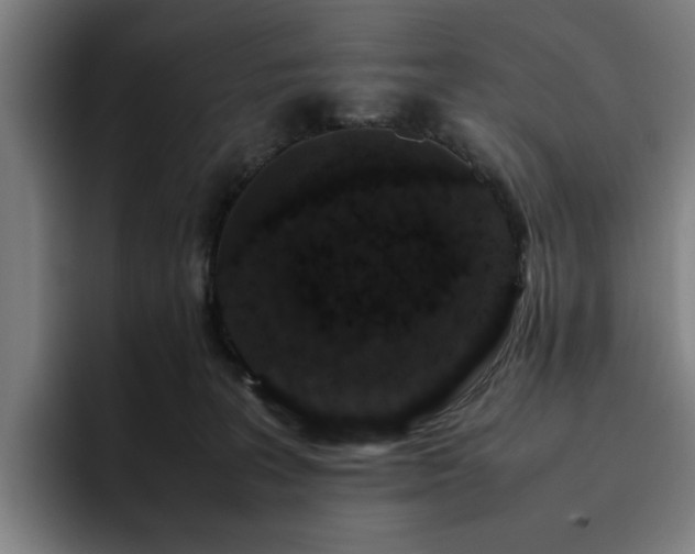X0000094820227200711161534