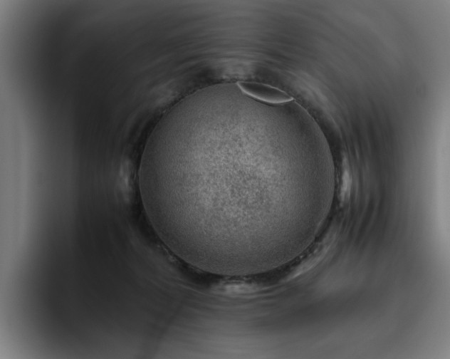 X0000094820228200711161534