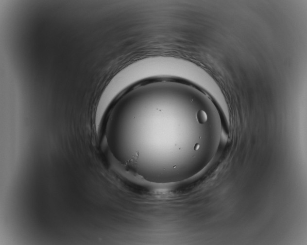 X0000094820233200711161534