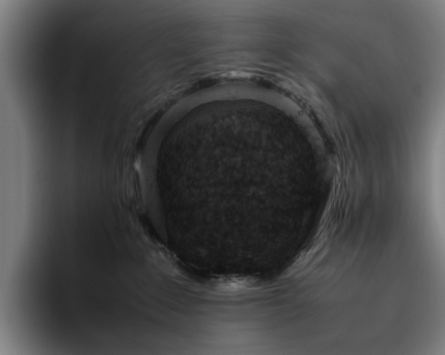 X0000094820235200711161534