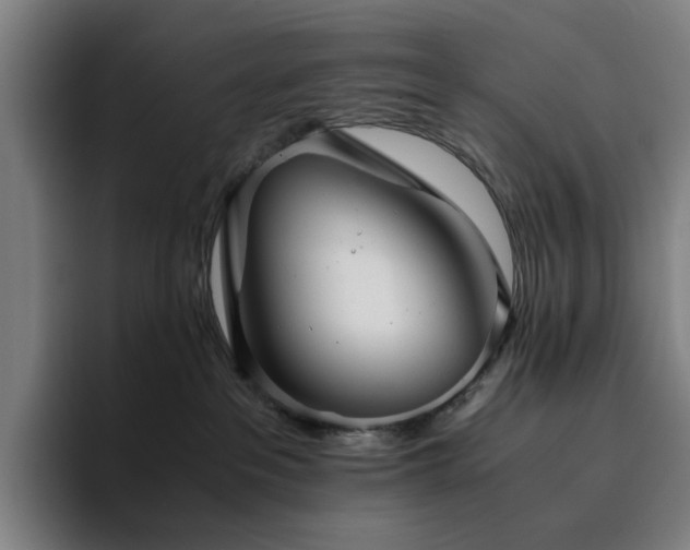 X0000094820237200711161534
