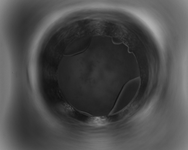 X0000094820239200711161534