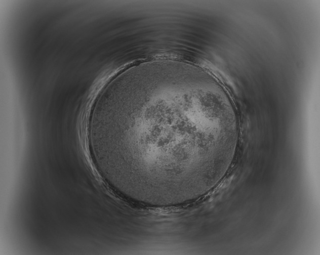 X0000094820241200711161533