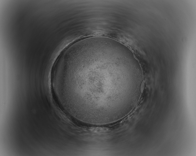 X0000094820242200711161533