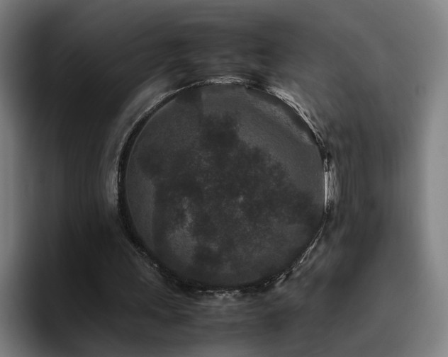 X0000094820243200711161533