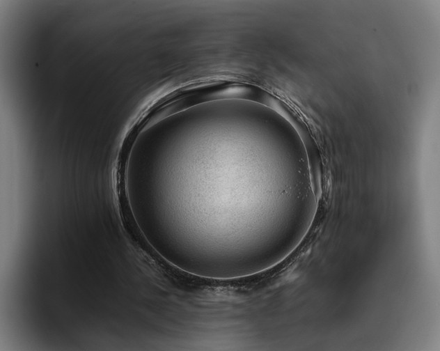 X0000094820244200711161533