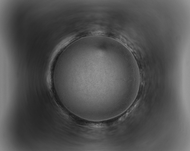 X0000094820245200711161533