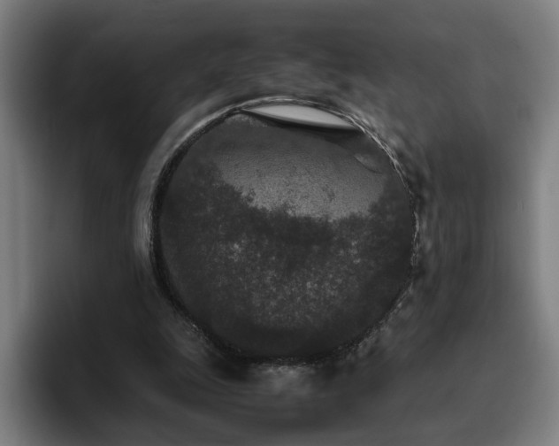 X0000094820247200711161533